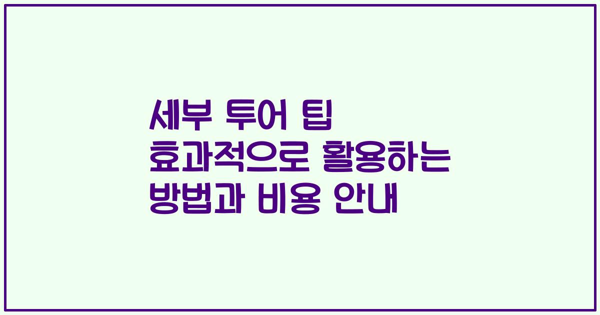 세부 투어 팁 효과적으로 활용하는 방법과 비용 안내